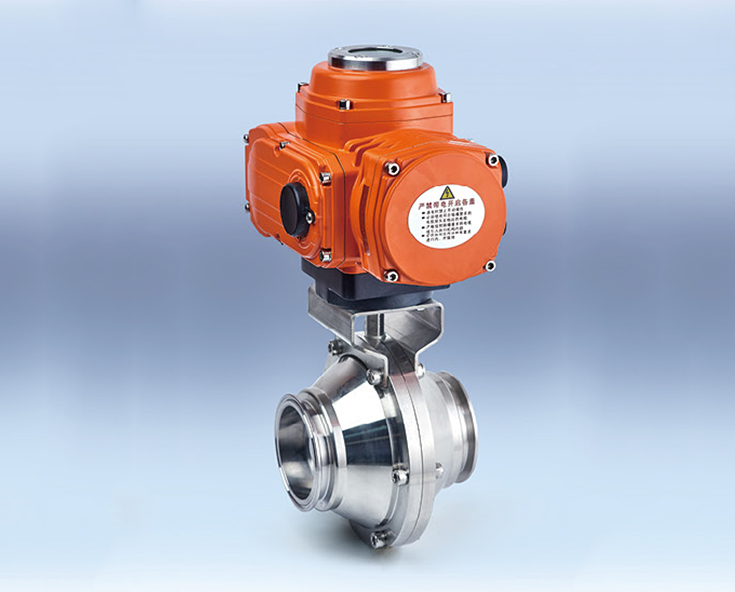 Butterfly-Type Ball Valve Sanitary